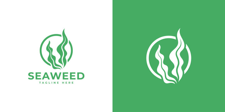 seaweed logo vector illustration, logo template