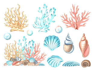 Corals and seashells underwater decor collection. Set of watercolor hand drawn illustration isolated. Mediterranean and tropical sea theme. Clipart nautical stile for cosmetic, card, sticker, interior