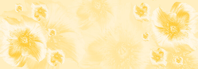 Dreamy blurred yellow gradient background with merging in a pale colored flower composition....