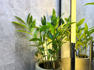 Corner plant greeneries with white and grey marble slabs. Warm grey lights, Luxurious feel bathroom...