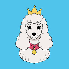 White MINIATURE POODLE dog