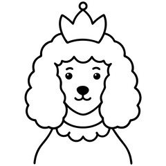 White MINIATURE POODLE dog