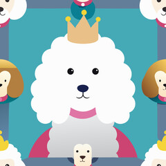 Fototapeta premium White MINIATURE POODLE dog