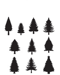 Isolated Pine on the white background. Pine silhouettes. Tree hand drawn. Vector EPS 10.