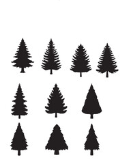 Obraz premium Isolated Pine on the white background. Pine silhouettes. Tree hand drawn. Vector EPS 10.