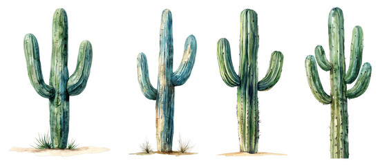 A beautiful pastel watercolor illustration of a tall saguaro cactus, showcased on a transparent background.