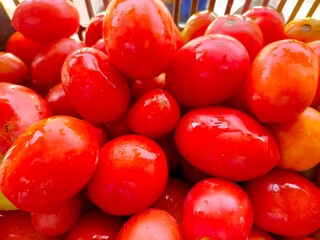 tomatoes