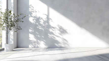 A minimalist white room with a potted plant near a window, casting shadows on the wall and floor.
