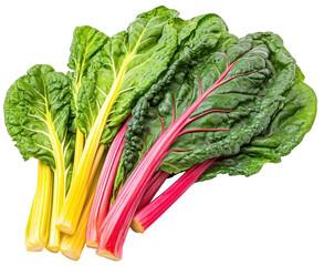 Colourful Swiss chard leaves with red and yellow stems isolated on transparent background