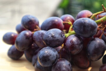 Apart from being consumed, Black Corinth grapes (Vitis vinifera) are usually made from Zante raisins. With blurred background.