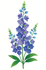 Obraz premium Delphinium Flowers Vector Illustration on Clean White Background for Design Projects and Nature Themes