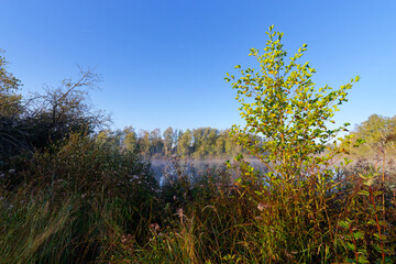 Episy swamp in the French Gâtinais Regional Nature Park