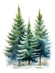 Winter watercolor illustration with fir trees on white background
