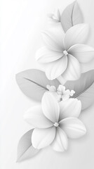 white background for a minimalist aesthetic White flowers and delicate stems arranged on a plain