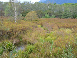 奥日光初秋の戦場ヶ原