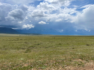 Mongolian steppe in the spring under the cloudy sky