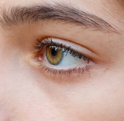 Fototapeta premium A woman's eye is brown and green