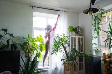 Woman hangs transparent tulle curtains on large windows in the house inside the interior. Spring...