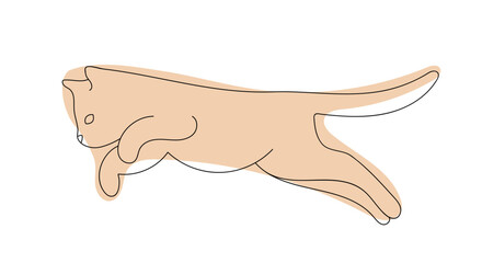 cat drawn with one line. cat jumping on a white background.