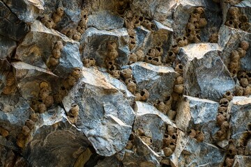 stone symphony basalt rock formation in armenia