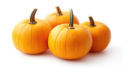 Obraz premium Pumpkins on white background stock image