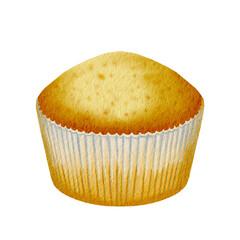Cupcake watercolor illustration. Hand drawn muffin on isolated background. Homemade baking for menu and recipes.