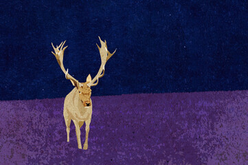 Ilustracja poroże jeleń na kolorowej łące ciemne nocne niebo. © Monika