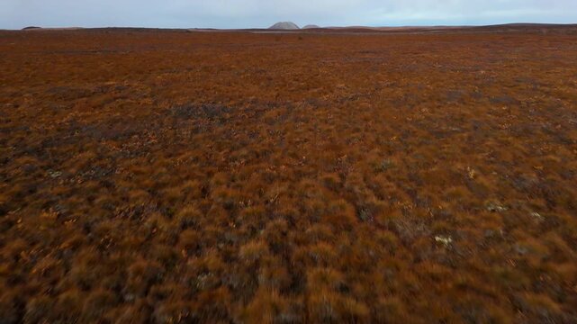 Drone Flying Above Arctic Tundra With View Of Pingo In Distance. Tuktoyaktuk, NWT, Canada. tilt-up shot