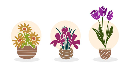 Indoor Plants, Flat Vector Set. House Plants in Pots.