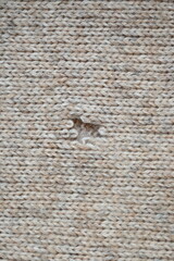 hole in a brown pastel jumper, hole in a tan woollen jumper,	knitted sweater beige texture