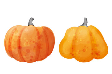 Obraz premium Orange pumpkins. Vector cute pumpkin illustration