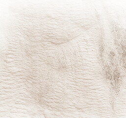 Surface Textured Detail Close-Up White Soft Natural Abstract