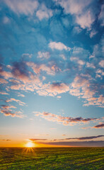 Sunset, Sunrise, Sun Over Rural Countryside Wheat Field. Spring Time