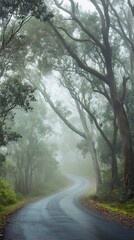 Obraz premium Winding Road Through a Foggy Forest