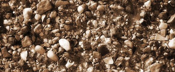 Pebbles Assorted Topdown Sepia Earthy Textured Natural Stone Surface Pattern