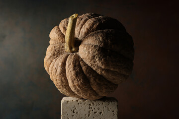 Zucca in primo piano: natura morta