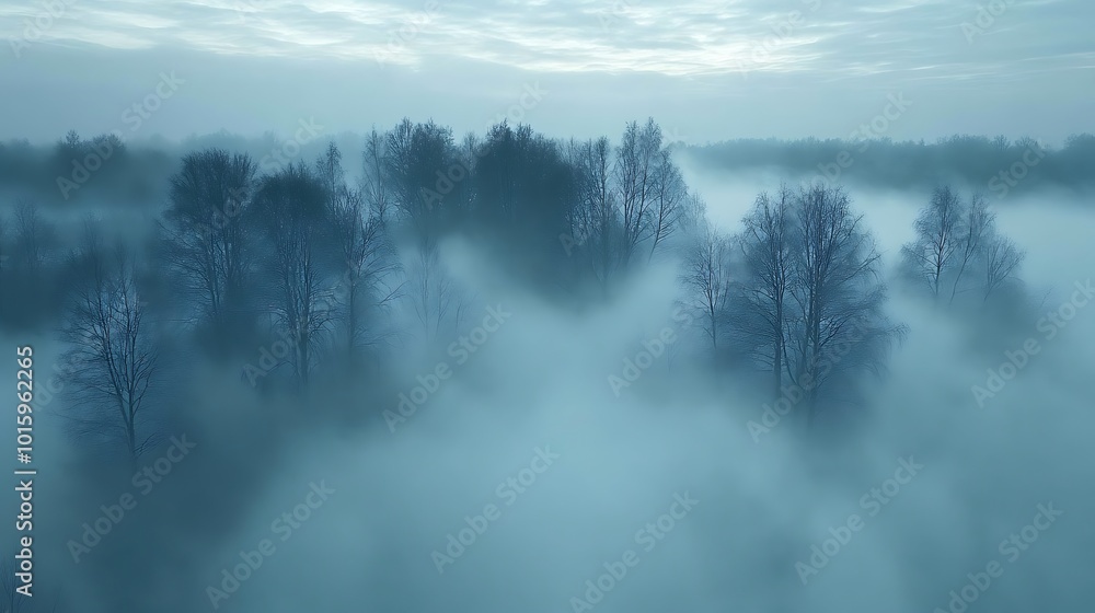 Poster an aerial view of a misty forest at dawn, with the trees barely visible through the fog.