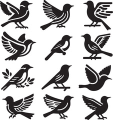 set of birds vector