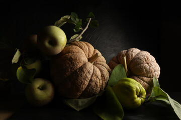 Natura morta con zucche e altri frutti autunnali
