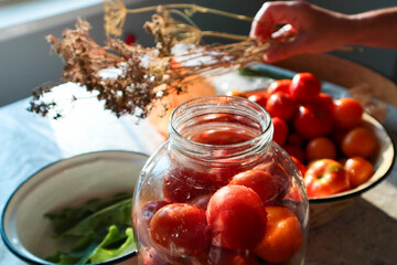 Preserving Organic Vegetables in Jars. Woman holds jar of canned tomato in her hands. Can fruits or vegetables.