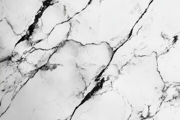 Obraz premium White Marble Texture with Black Veins and Cracks