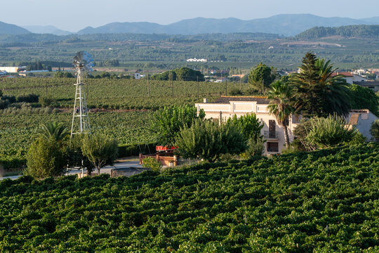 A charming vineyard estate enclosed by verdant greenery and trees, featuring a traditional windmill, epitomizing the rural countryside life and serenity in Penedes Spain