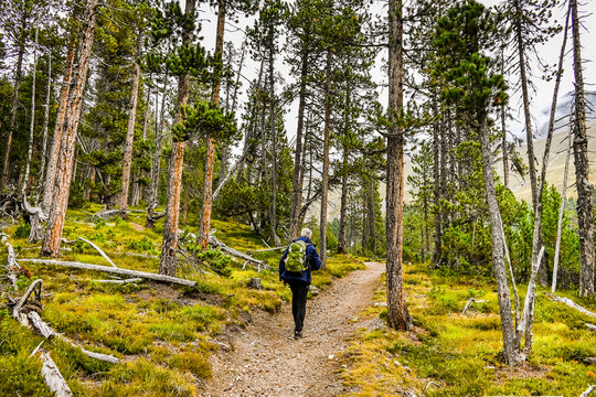 Ofenpass, Piz Stabelchod, Piz Nair, Val da Stabelchod, Piz dal Botsch,  Wanderweg, Wanderer, Wald, Alpen, Nationalpark, Naturschutz, Zernez, Herbst, Herbstfarben, Bergwiesen, Graub&uuml;nden, Schweiz