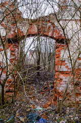 Abandoned Passageway Through Time: A Glimpse of Nature Reclaiming Ruins