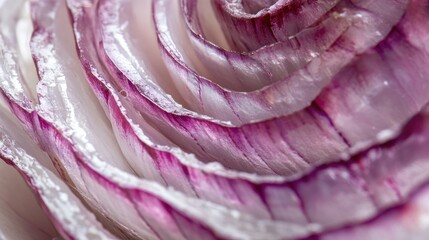 Obraz premium Close-Up of Fresh Red Onion Layers