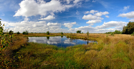 Moorauge im Neustädter Moor, Diepholzer Moorniederung, Niedersachsen, Deutschland