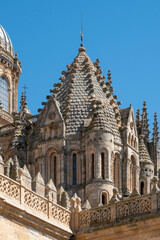 The one known as Torre del Gallo, (Rooster Tower), part of the architecture of the Salamanca cathedral.