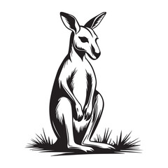 Kangaroo Silhouette and Illustrations, Kangaroo in cartoon, doodle style, Kangaroo Vector Line art Illustration