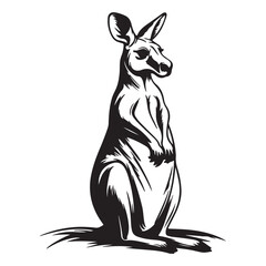Kangaroo Silhouette and Illustrations, Kangaroo in cartoon, doodle style, Kangaroo Vector Line art Illustration