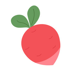 Root radish vegetable with green leaves. Fresh natural organic foodHealthy vegetable product